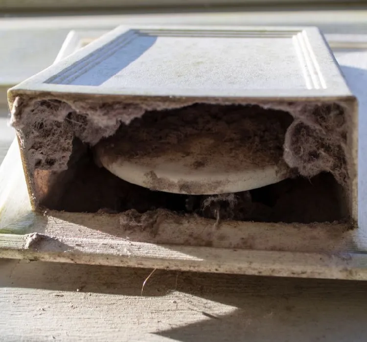 Dryer vent cleaning